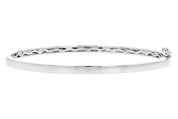 D318-72104: BANGLE (M235-04858 W/ CHANNEL FILLED IN & NO DIA)
